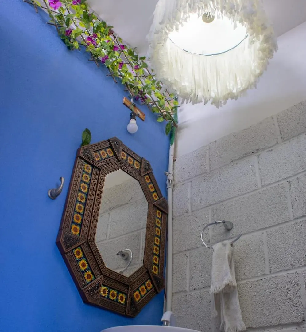 La Creme De La Creme Hostel Puebla Mexico