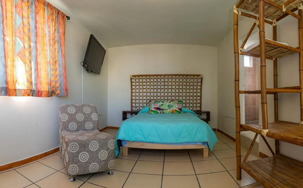 La Creme De La Creme Hostel Puebla